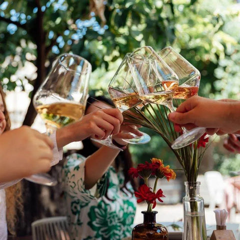 Bachelor party among vineyards and cellars