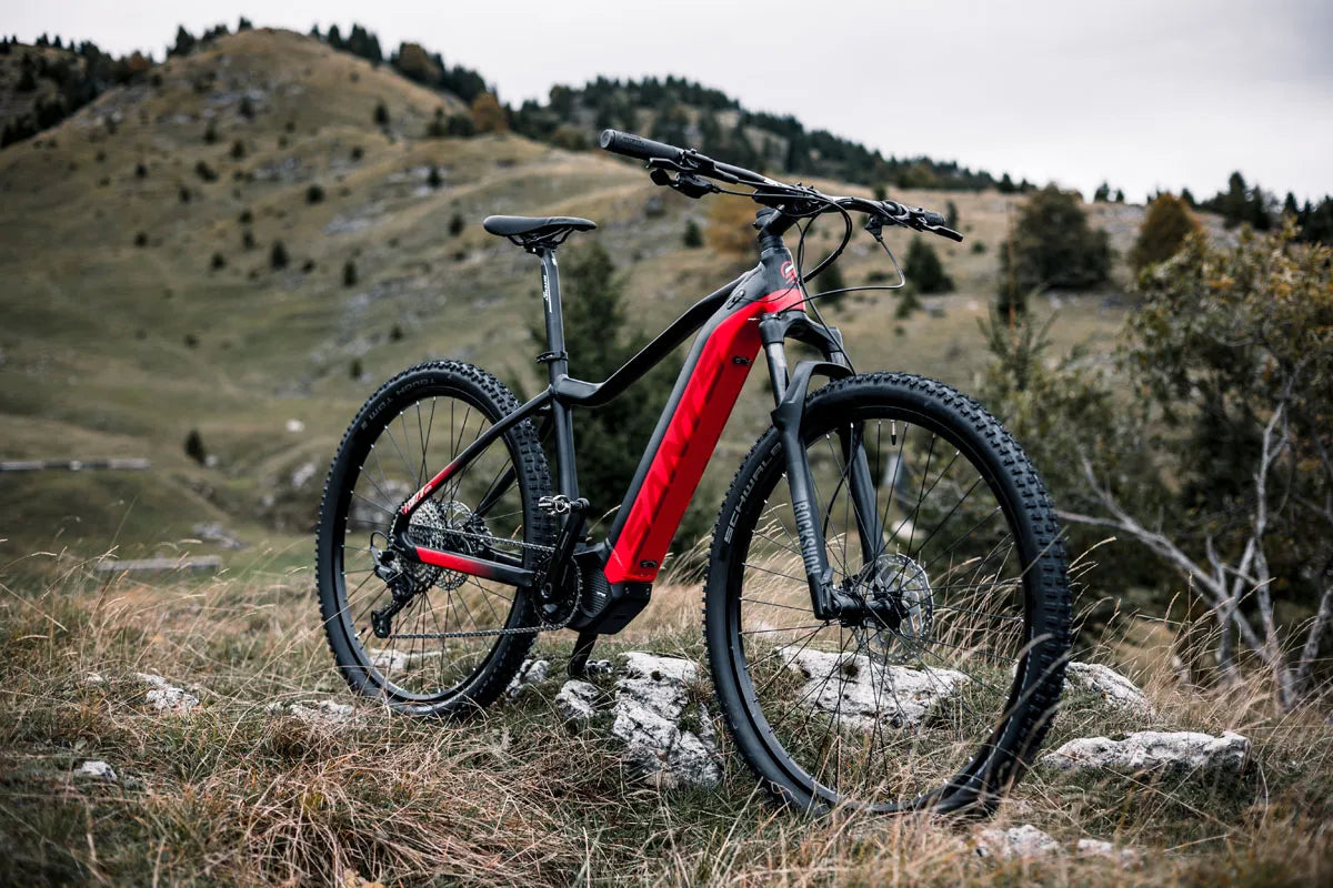 E-MTB FRONT SANTS